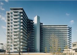 管理している分譲マンション